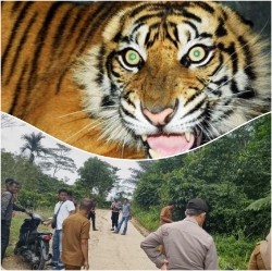 Picsart_25-09-16_16-04-49-228