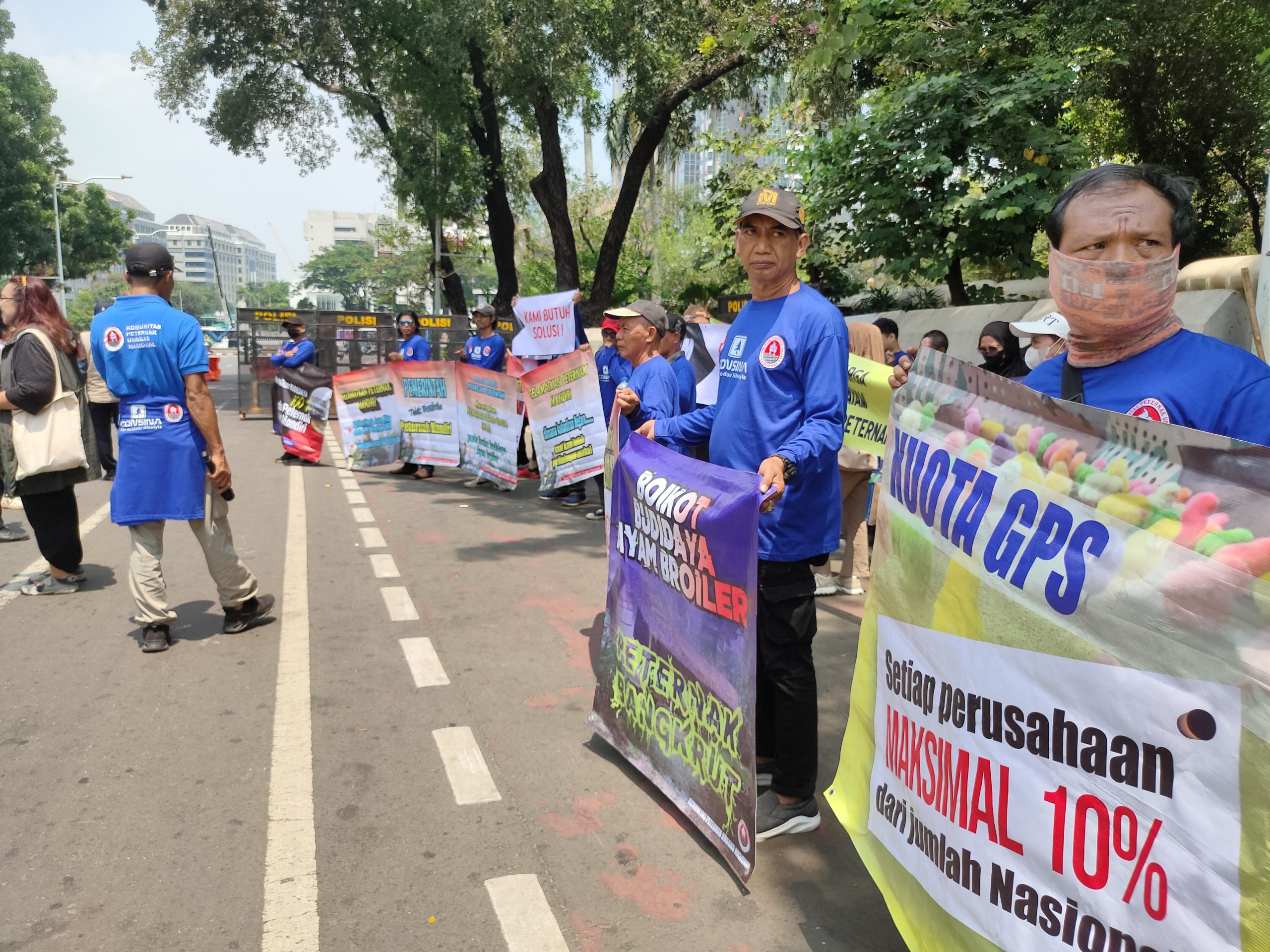 Peternak Ayam Menjerit: Harga Pakan Melonjak, KPUN Desak Pemerintah Turun Tangan